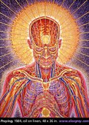 ee85d9fe48cfe06d667950c174eb314a