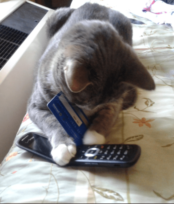 Screenshot 2018-07-26 at 12.21.25 PM