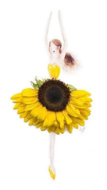 cropped-813fcb42de776d2393f0472f564364f8