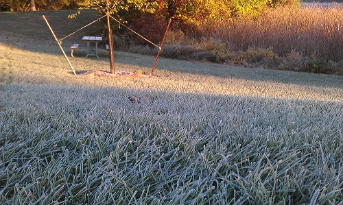 Midwest United States, Autumn leaf colors