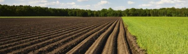 Featured Image -- 2444